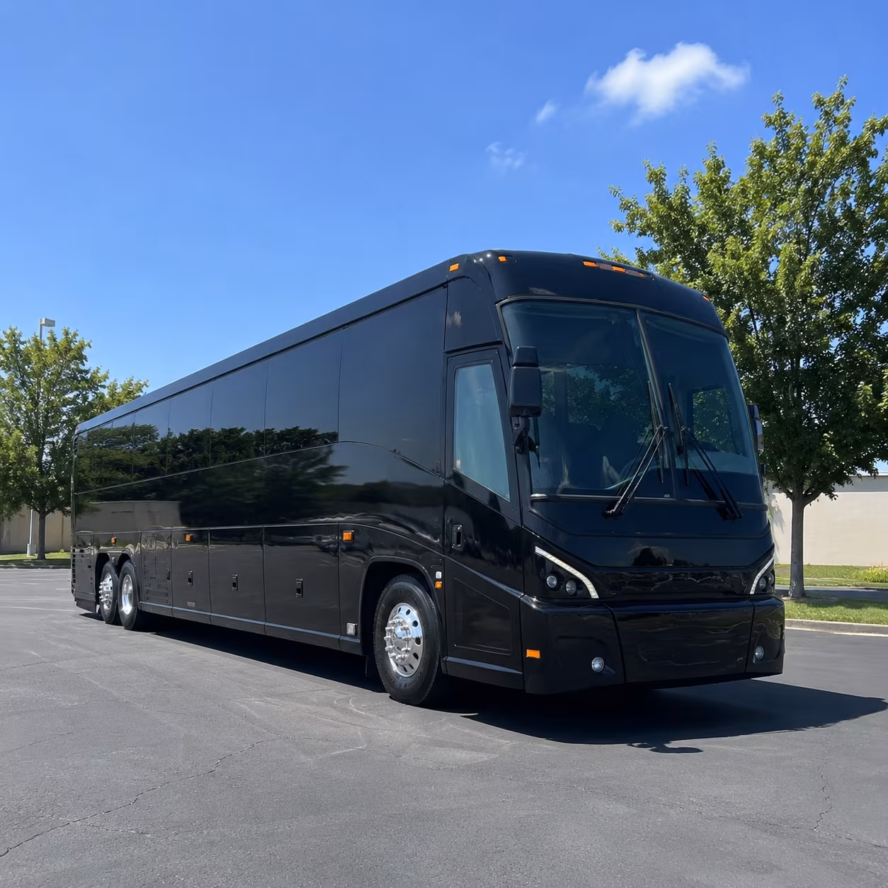 big bear ski trip and mountain retreat bus rentals